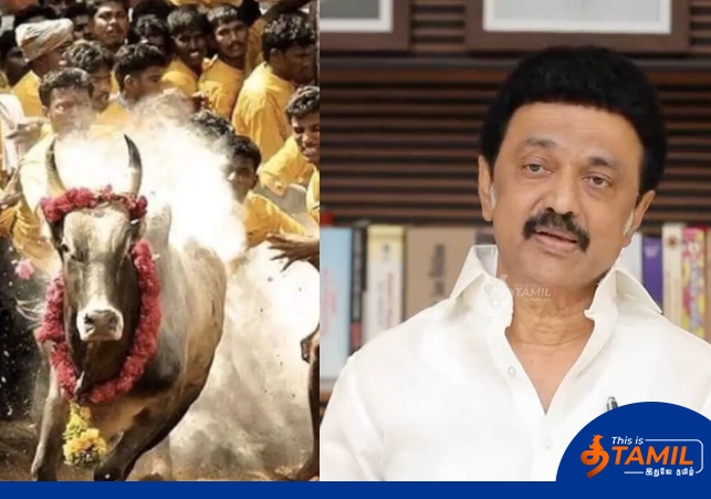 mkstalin about jallikattu 