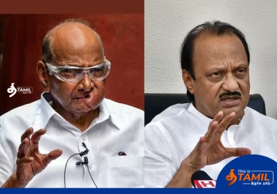 sarath pawar vs ajith pawar 