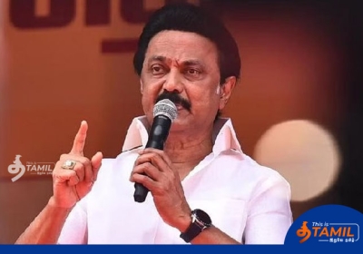 m.k.stalin